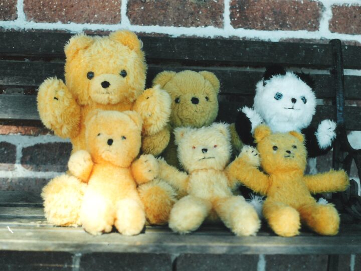 Unwrapping the History of Jakas Teddy Bears