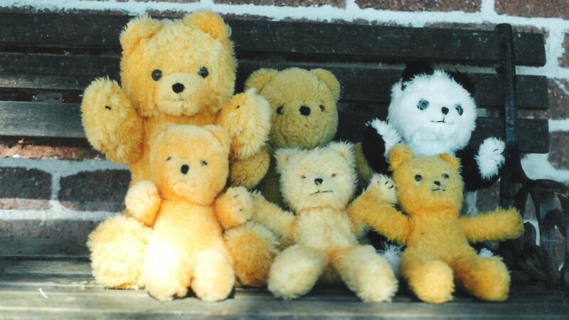 Unwrapping the History of Jakas Teddy Bears